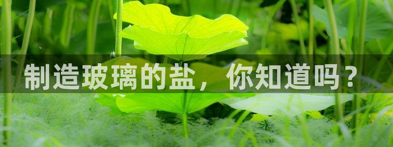 有谁知道彩神争霸的网址：制造玻璃的盐，你知道吗？