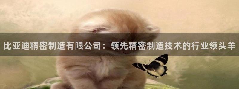 彩神v8官网版：比亚迪精密制造有限公司：领先精密制造技术的行
