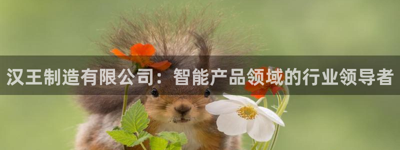 彩神v8手机客户端怎么下载