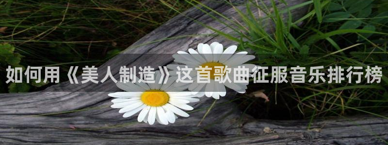 彩神vl购彩大厅：如何用《美人制造》这首歌曲征服音乐排行榜