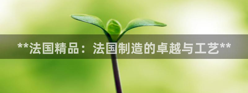 彩神合法吗.是国家认可的吗：**法国精品：法国制造的卓越与工艺**