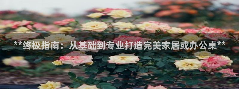 下载彩神乐发V1