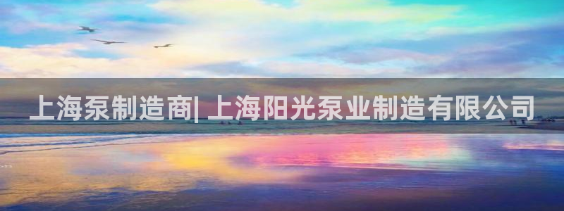 彩神8官网500：上海泵制造商| 上海阳光泵业制造有限公司