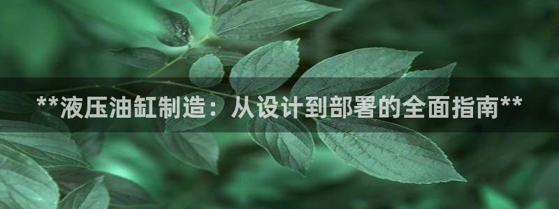 彩神V3大赢家：**液压油缸制造：从设计到部署的全面指南**