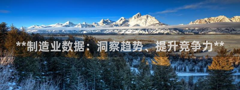 彩神Vll购彩大厅：**制造业数据：洞察趋势、提升竞争力**