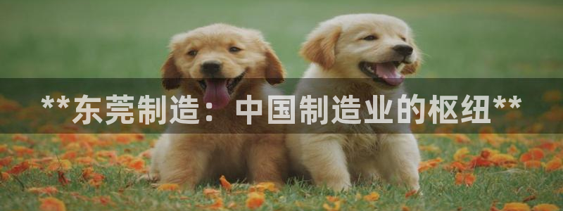 彩神平台之间是什么关系：**东莞制造：中国制造业的枢纽**