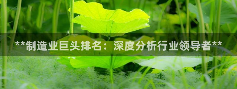 彩神8是正规平台吗知乎：**制造业巨头排名：深度分析行业领导者**