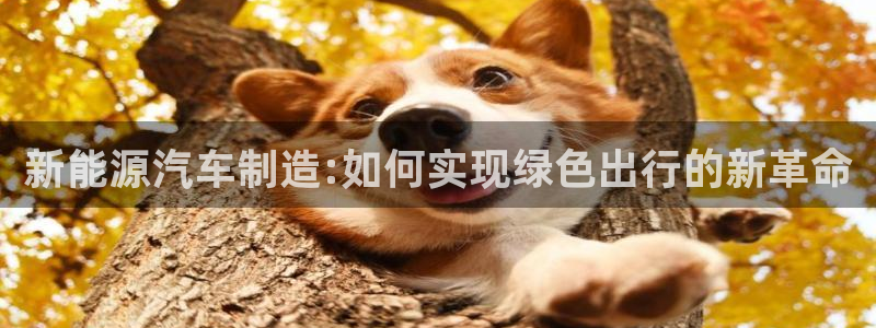 彩神赢了钱登录不上去：新能源汽车制造:如何实现绿色出行的新革命