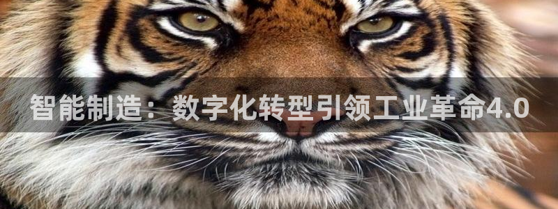 彩神v8平台正规吗安全吗