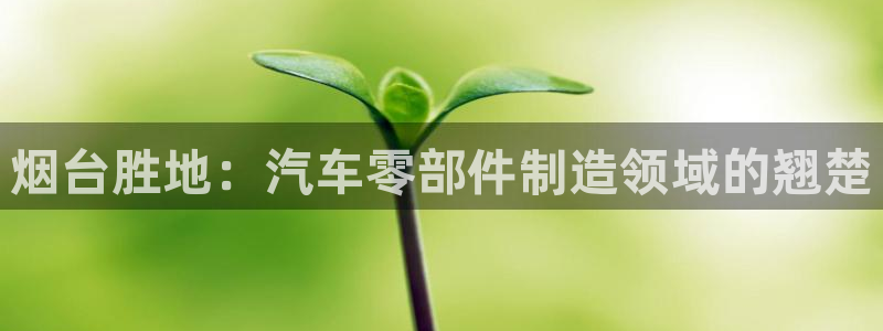 彩神x平台靠什么盈利：烟台胜地：汽车零部件制造领域的翘楚